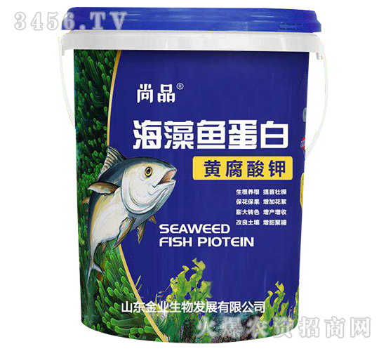 海藻魚(yú)蛋白-尚品-金業(yè)生物