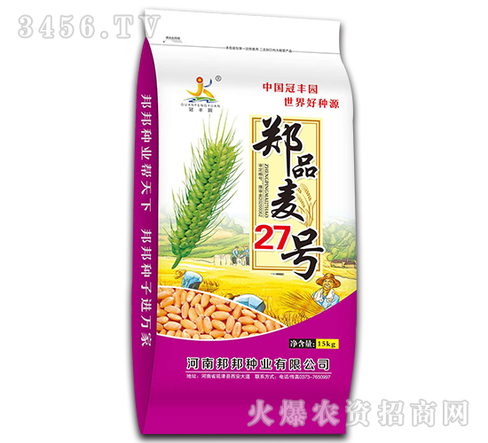 鄭品麥27號(hào)（15kg）-小麥種子-邦邦種業(yè)