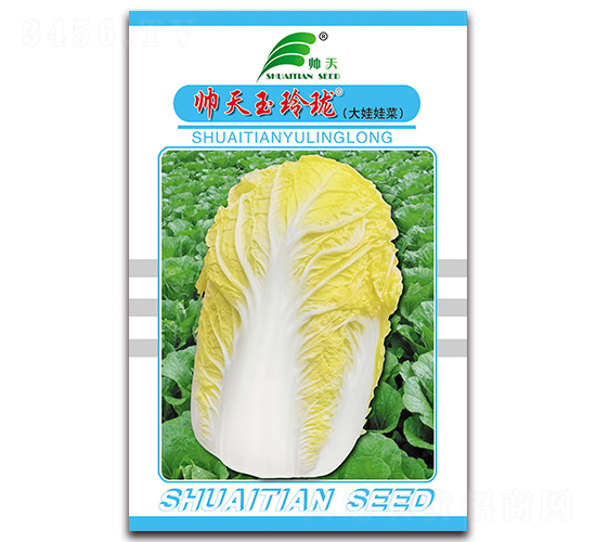 玉玲瓏-白菜種子-帥天