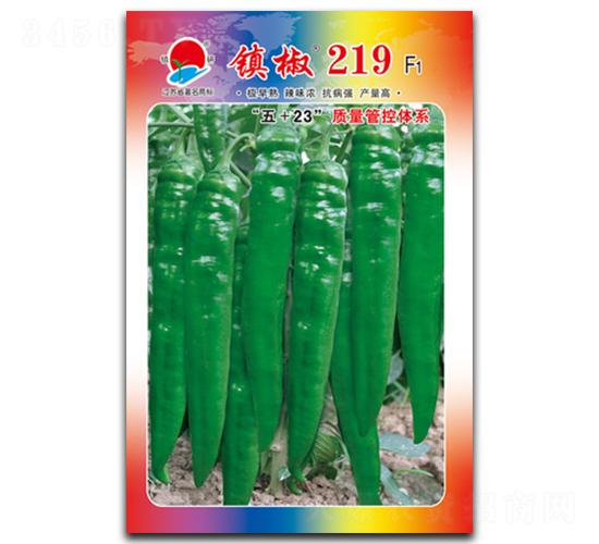 鎮(zhèn)椒219-尖椒種子-鎮(zhèn)研種業(yè)