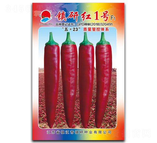 鎮(zhèn)研紅1號-辣椒種子-鎮(zhèn)研種業(yè)