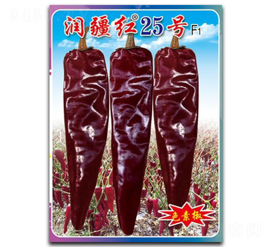 潤疆紅25號-辣椒種子-鎮(zhèn)研種業(yè)