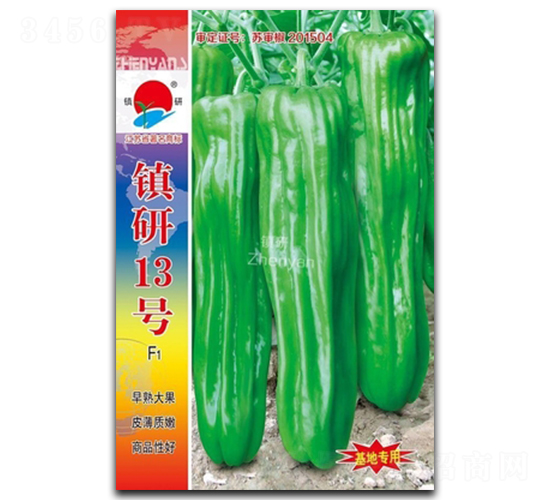 鎮(zhèn)研13號(hào)-泡椒種子-鎮(zhèn)研種業(yè)