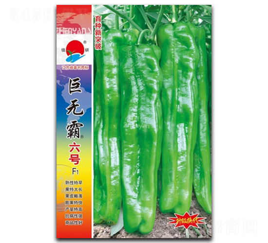 巨無(wú)霸六號(hào)-泡椒種子-鎮(zhèn)研種業(yè)