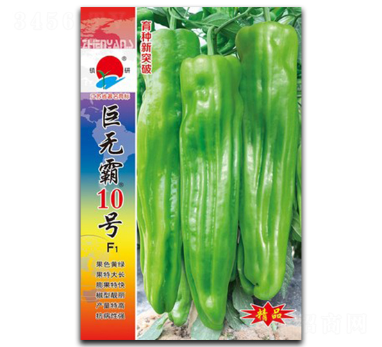 巨無(wú)霸10號(hào)-泡椒種子-鎮(zhèn)研種業(yè)