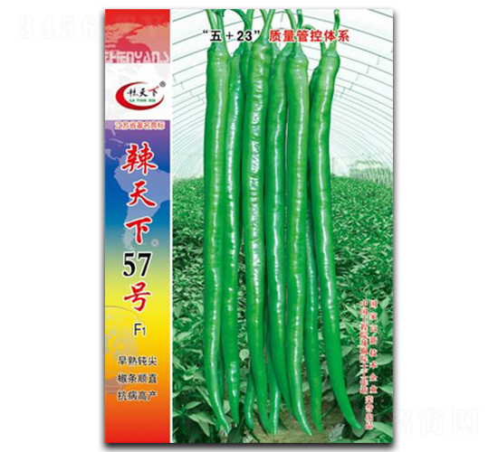 辣天下57號-線椒種子-鎮(zhèn)研種業(yè)