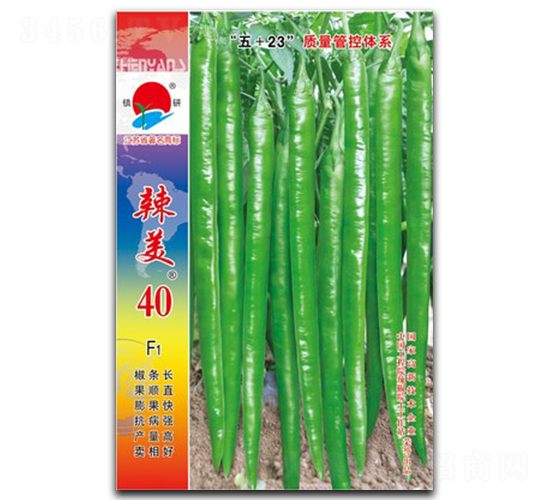 辣美40-線(xiàn)椒種子-鎮(zhèn)研種業(yè)