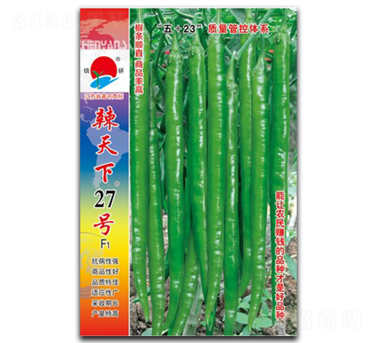 辣天下27號(hào)-線椒種子-鎮(zhèn)研種業(yè)