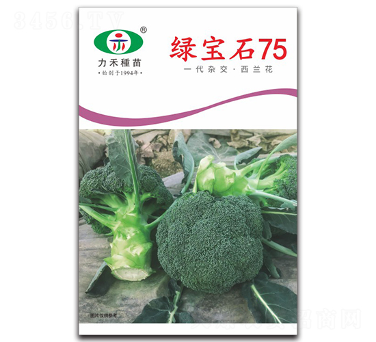 綠寶石75-西蘭花種子-力禾農(nóng)業(yè)