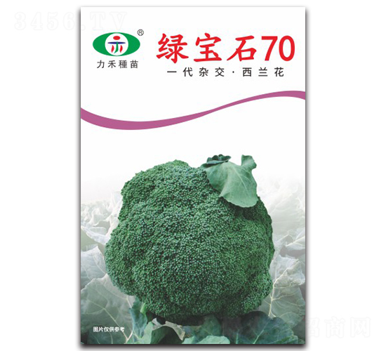 綠寶石70-西蘭花種子-力禾農(nóng)業(yè)