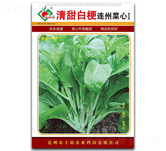 清甜白梗連州菜心Ⅰ-菜心種子-豐裕農(nóng)業(yè)