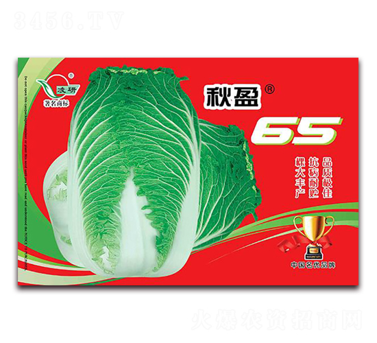 秋盈65-白菜種子-仁大農(nóng)業(yè)