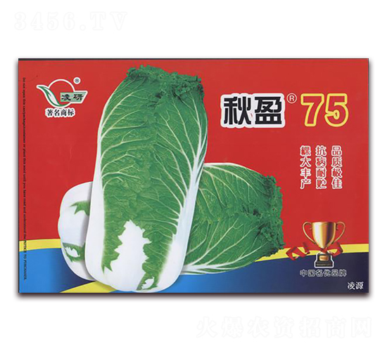 秋盈75-白菜種子-仁大農(nóng)業(yè)