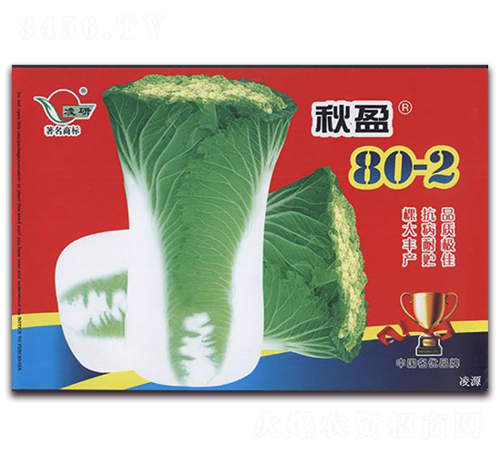 秋盈80-2-白菜種子-仁大農(nóng)業(yè)