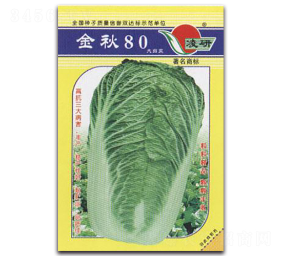 金秋80-白菜種子-仁大農(nóng)業(yè)