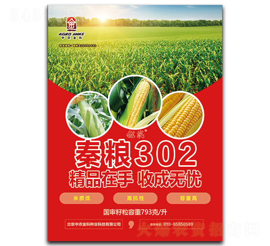 秦糧302-玉米種子-中農(nóng)金科