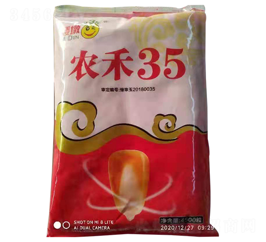 農(nóng)禾35-玉米種子-農(nóng)德利