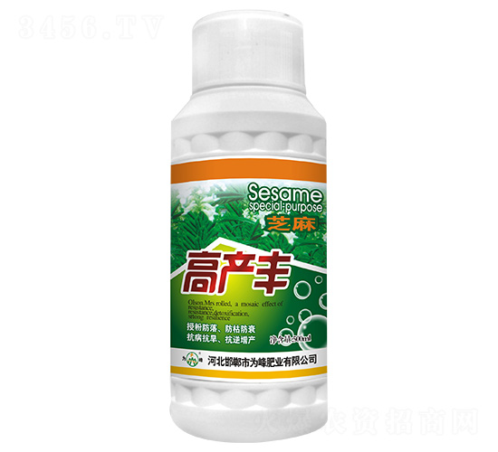 500ml֥߮a(chn)S-ʘI(y)