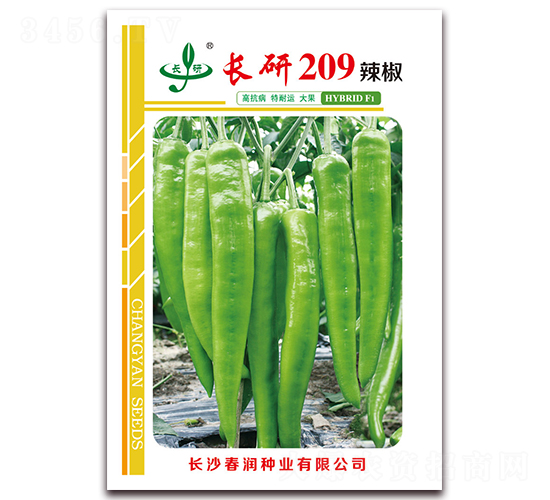 長(zhǎng)研209-辣椒種子-春潤(rùn)種業(yè)