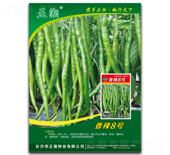 正湘香辣8號(hào)-線椒種子-正湘種業(yè)