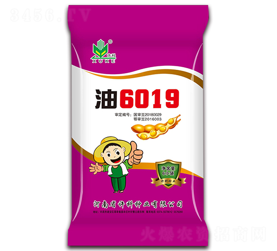 油6019-大豆種子-許科種業(yè)