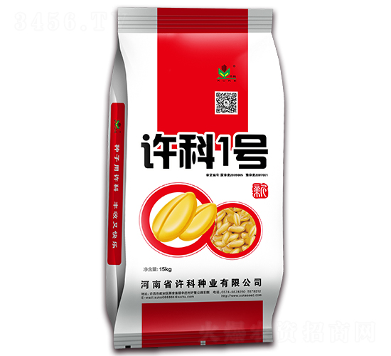 許科1號(hào)-小麥種子-許科種業(yè)