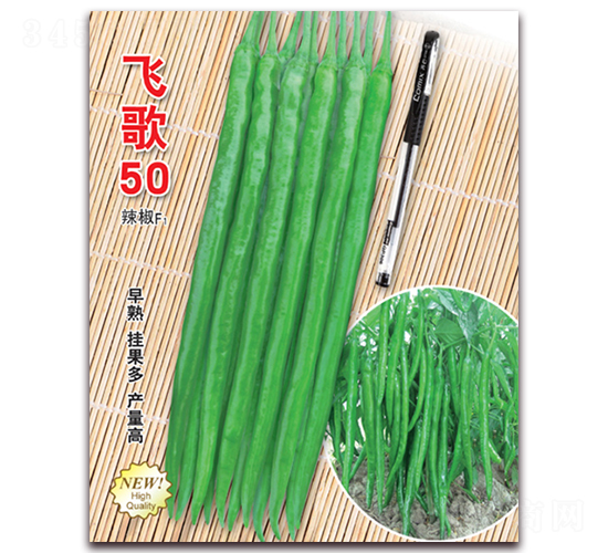 飛歌50-辣椒種子-飛歌農(nóng)業(yè)