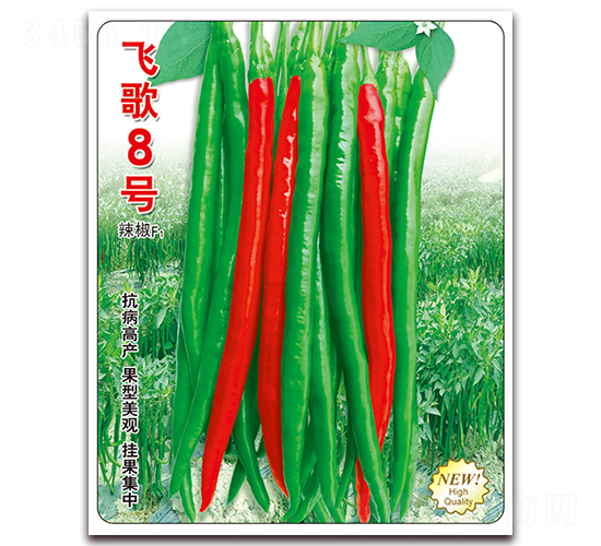 飛歌8號-辣椒種子-飛歌農(nóng)業(yè)