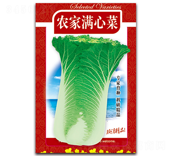 農(nóng)家滿心菜-精品白菜種子-天星種業(yè)