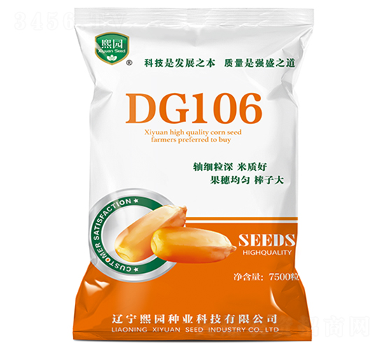 DG106-玉米種子-熙園種業(yè)