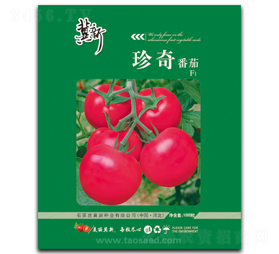 珍奇-番茄種子-冀新種業(yè)