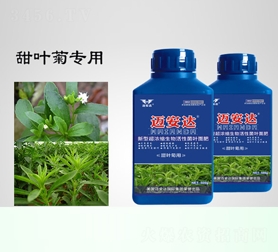 甜葉菊用新型超濃縮生物活性菌肥-邁安達