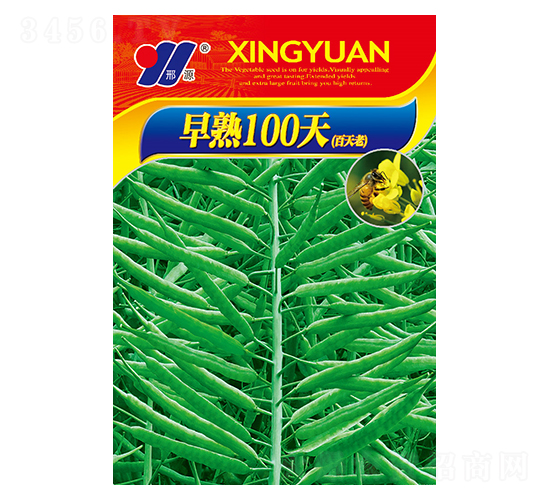 早熟100天-油菜種子-邢源農(nóng)業(yè)