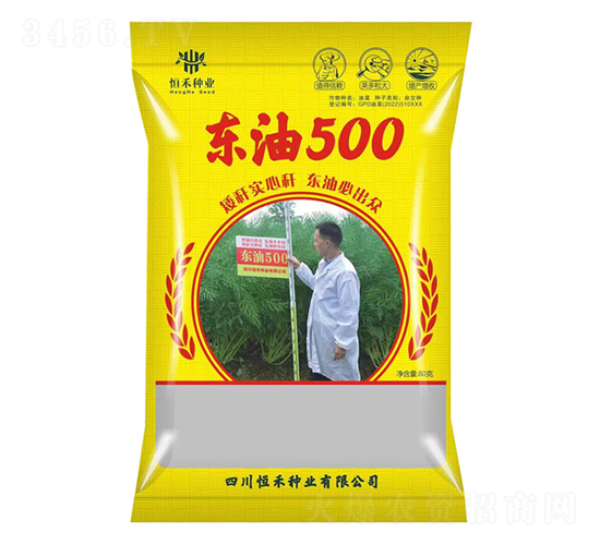 油菜種子-東油500-恒禾種業(yè)