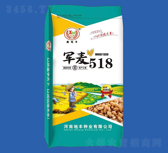 軍麥518（15kg）-小麥種子-地豐種業(yè)