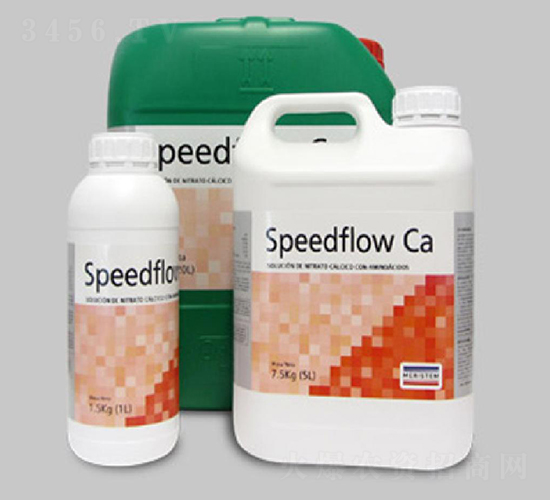 SPEEDFLOW Ca z}-~˹