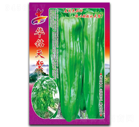 華鉆天塹F1-辣椒種子-華一種業(yè)