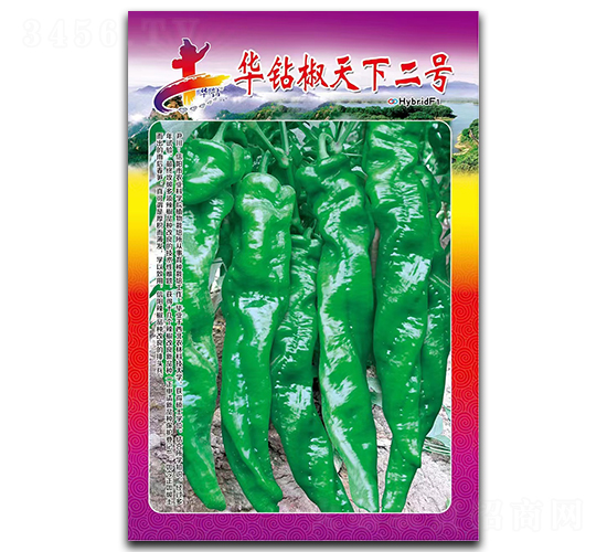 華鉆椒天下二號-辣椒種子-華一種業(yè)