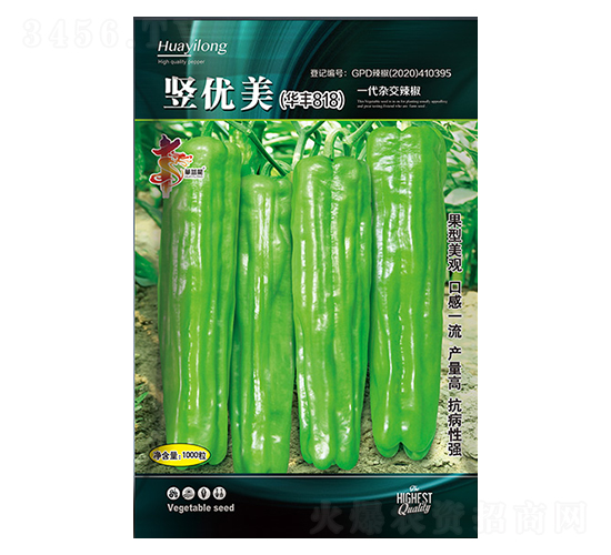 豎優(yōu)美（華豐818）-華一種業(yè)