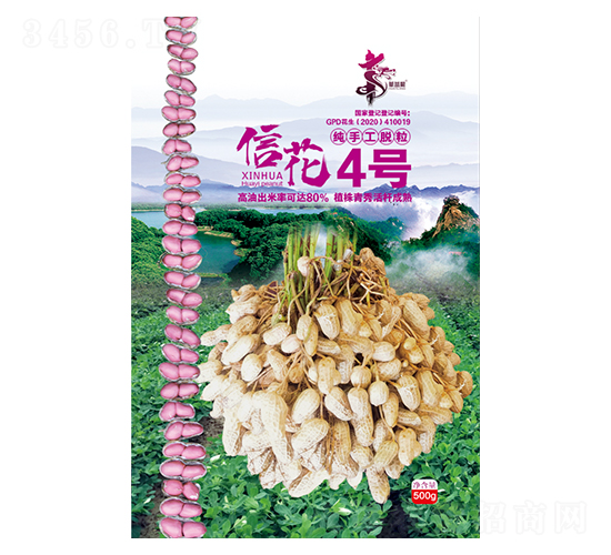 信花4號(hào)-花生種子-華一種業(yè)