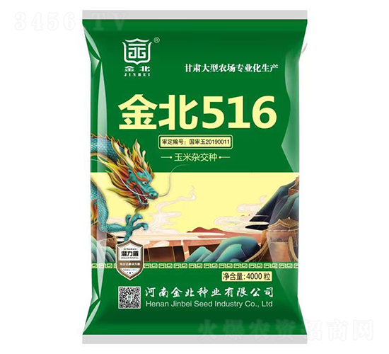 金北516-玉米雜交種子-金北種業(yè)