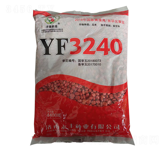 玉米種子-YF3240-和谷豐