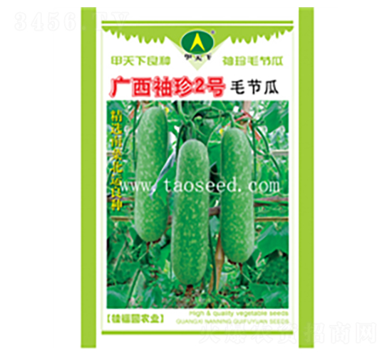 廣西袖珍2號(hào)-節(jié)瓜種子-桂福園農(nóng)業(yè)