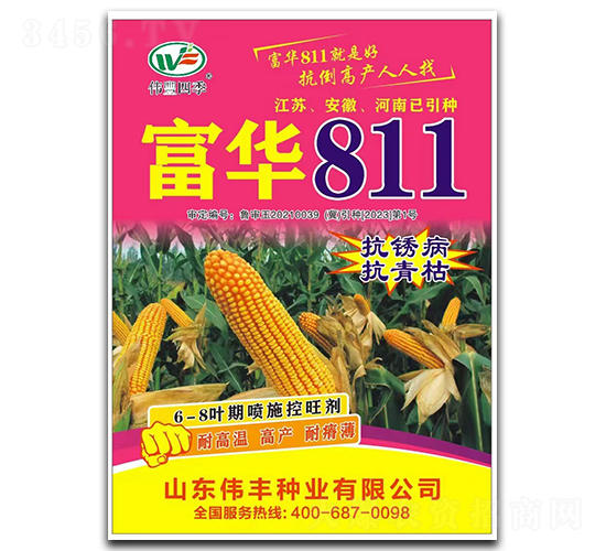 富華811-玉米種子-偉豐種業(yè)