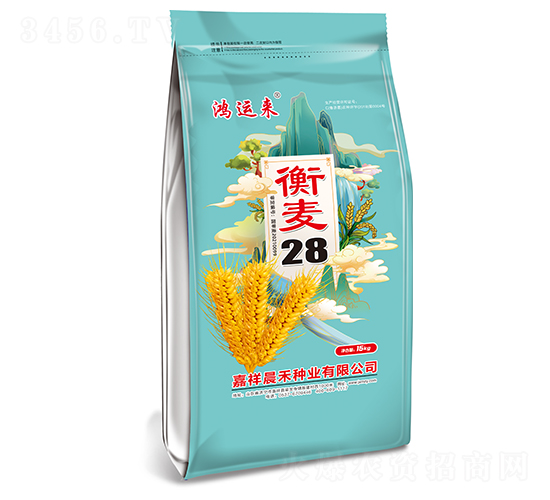 衡麥28小麥種子-鴻運(yùn)來-晨禾種業(yè)