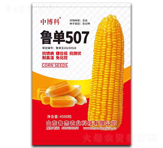 魯單507玉米種子-中博科-魯杰農(nóng)業(yè)