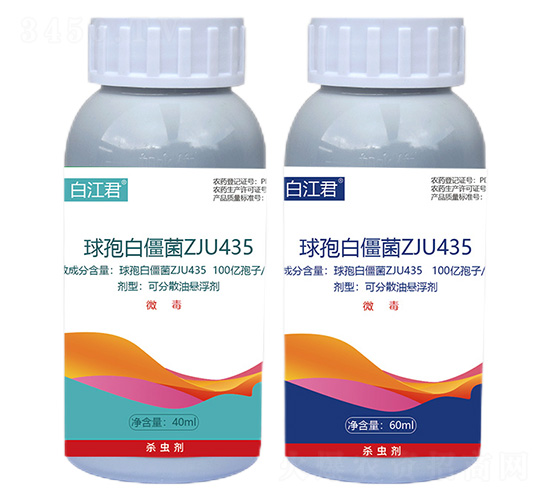 球孢白僵菌ZJU435-聚立信生物