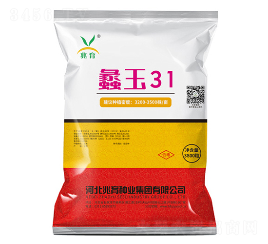 蠡玉31玉米種子-兆育種業(yè)