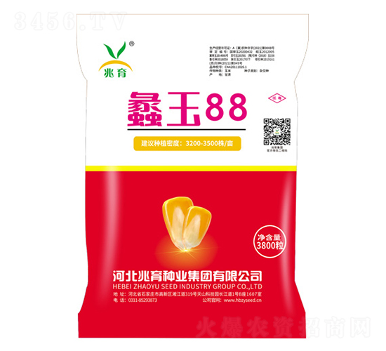 蠡玉88玉米種-兆育種業(yè)