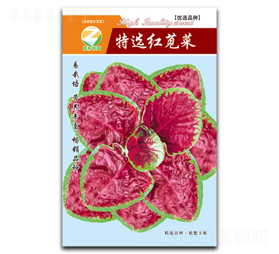 特選紅莧菜-莧菜種子-良籽農(nóng)業(yè)